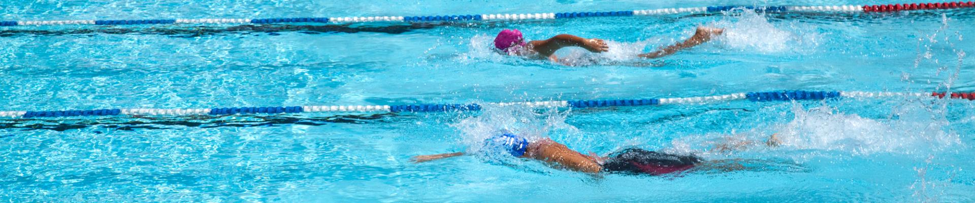 Zwei Schwimmer in einem Wettkampfbecken, getrennt durch Leinen, schwimmen Kraulstil mit hoher Geschwindigkeit.