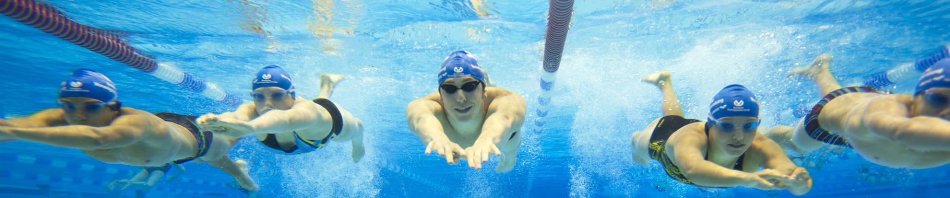 Unterwasseraufnahme von mehreren Schwimmern mit blauen Badekappen, die synchron durch das Wasser gleiten.