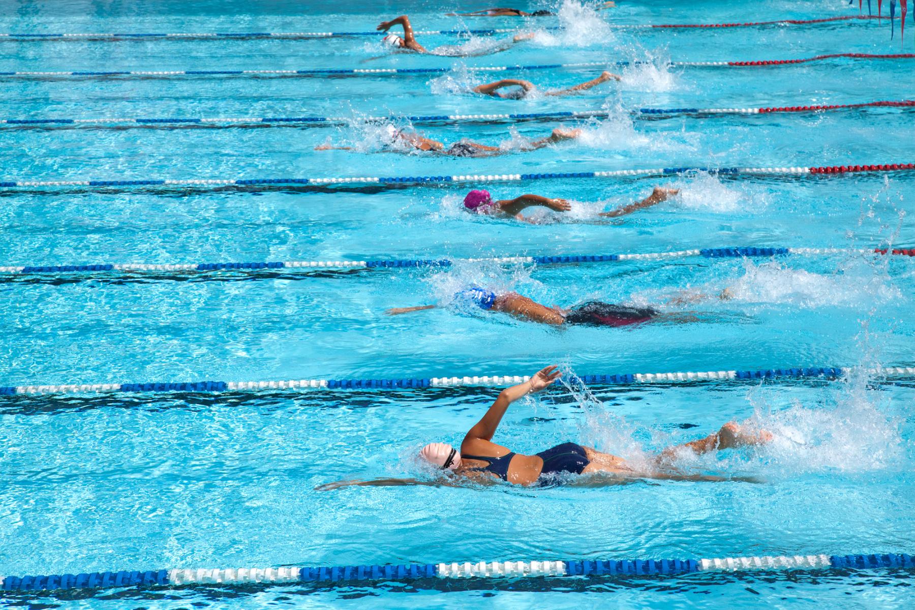 Mehrere Schwimmer in einem Wettkampfbecken, getrennt durch Leinen, schwimmen Kraulstil mit hoher Geschwindigkeit.