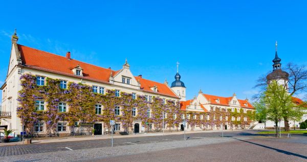 Aussenansicht des Mercure Hotels mit blumenüberwachsener Fassade in Riesa, Sachsen