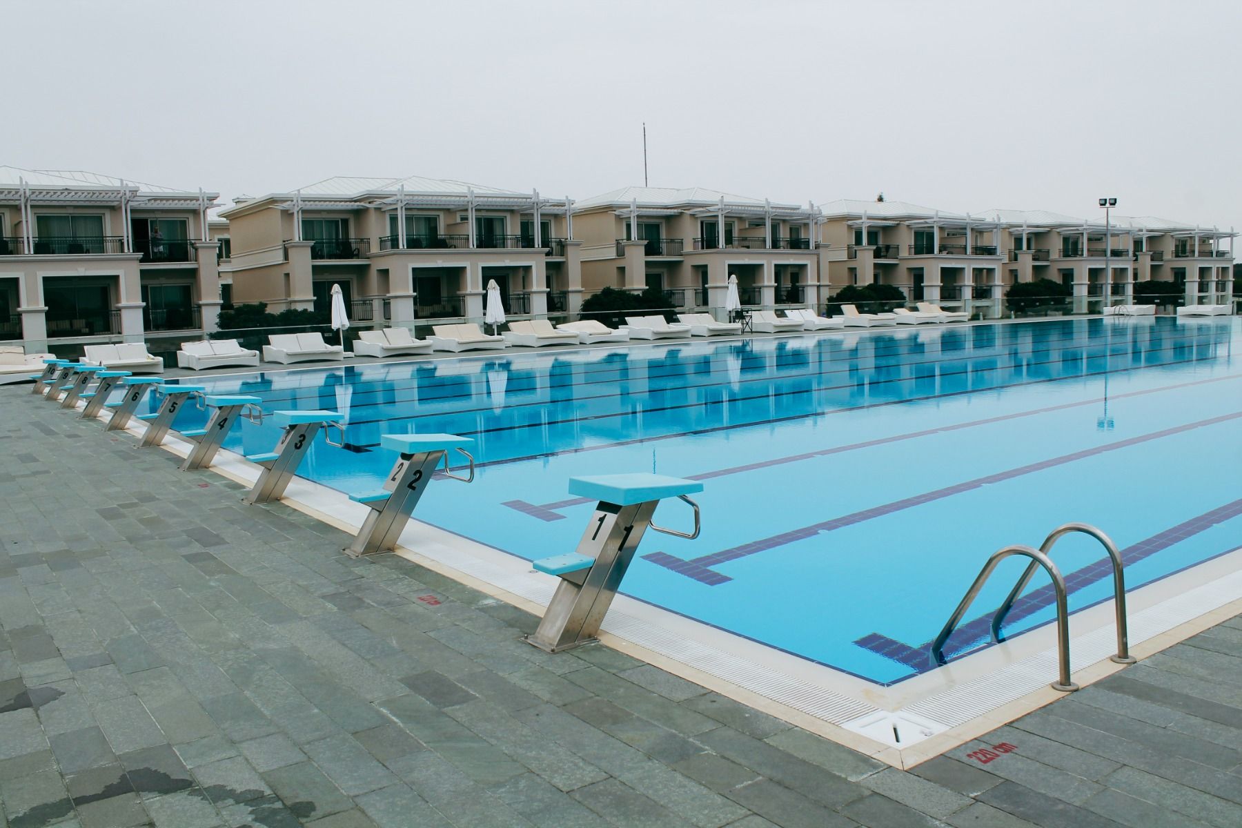 Olympisches Schwimmbecken mit modernen Startblöcken und komfortablen Sonnenliegen im Hintergrund.