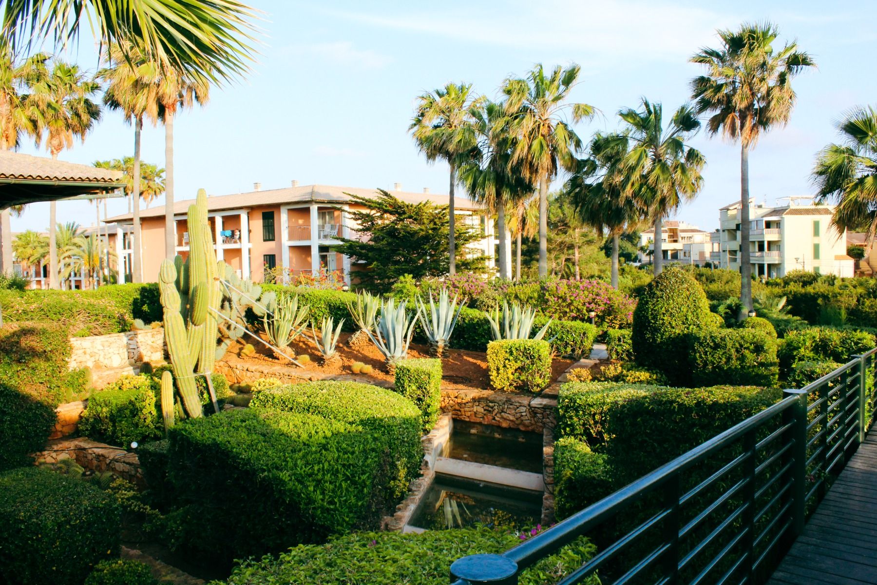 Gepflegte Gartenanlage des Hotels Blau Club mit exotischen Pflanzen, Palmen und Kakteen, umgeben von den Hotelgebäuden.