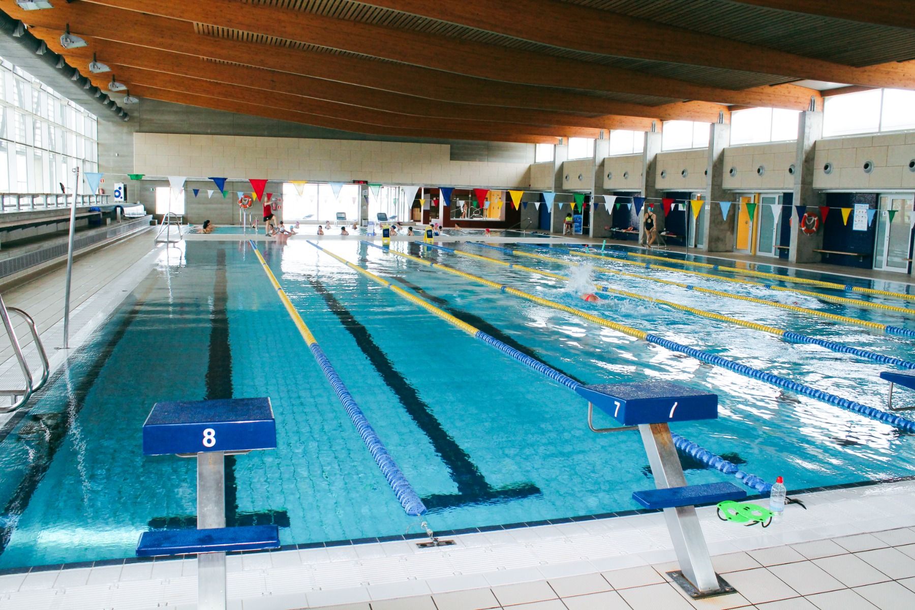 Innenansicht eines Hallenbades mit Schwimmbahnen, Startblöcken und Schwimmleinen.