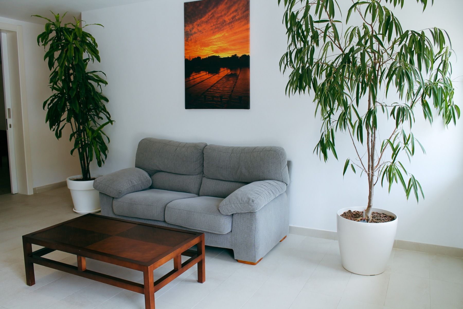 Ein Wohnzimmerbereich mit einer grauen Couch, einem Holztisch, zwei großen Zimmerpflanzen in weißen Töpfen und einem Wandbild mit Sonnenuntergang.