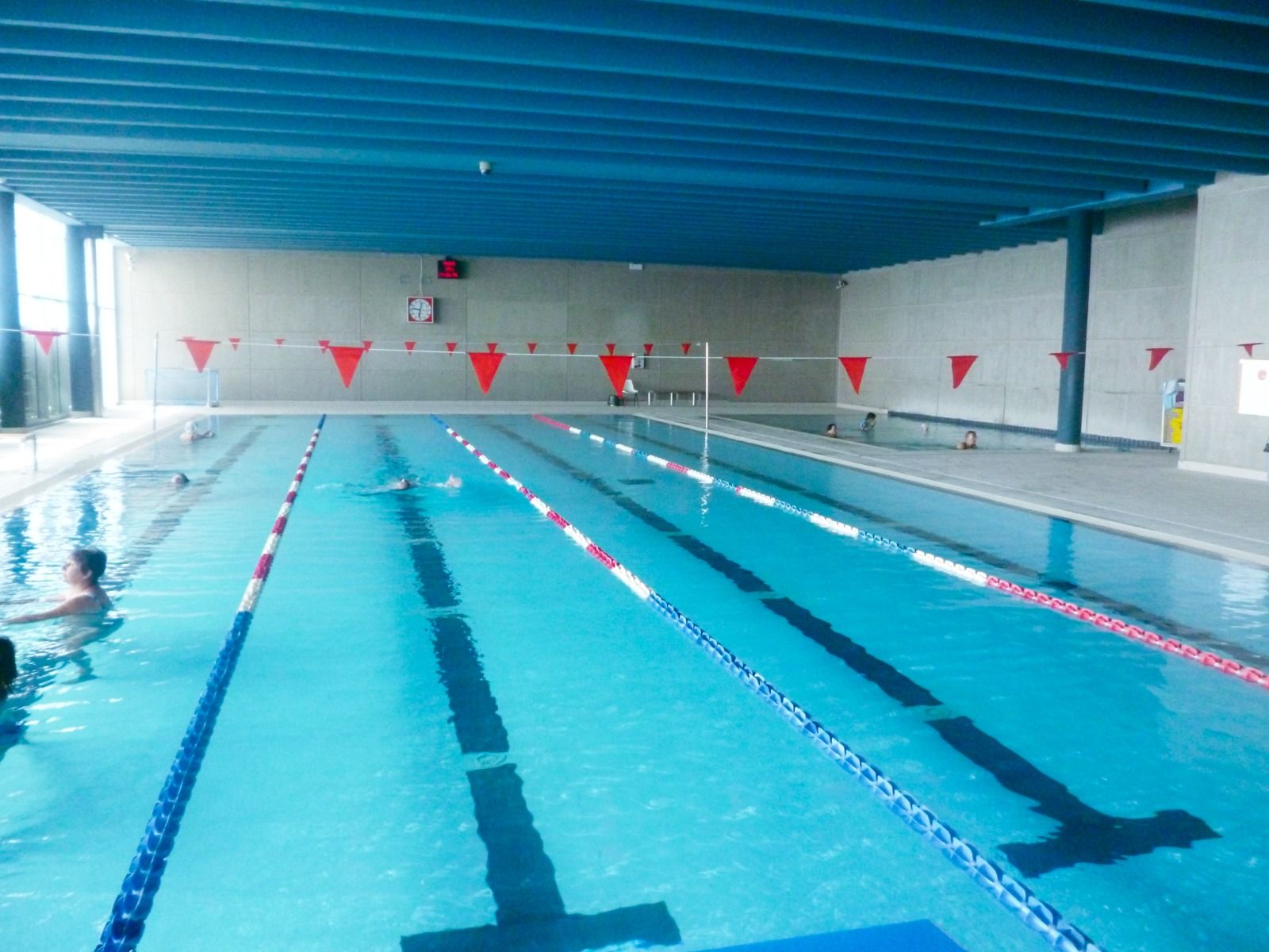 Innenpool mit markierten Bahnen und roten Fahnen für Schwimmtraining, moderne Einrichtung 