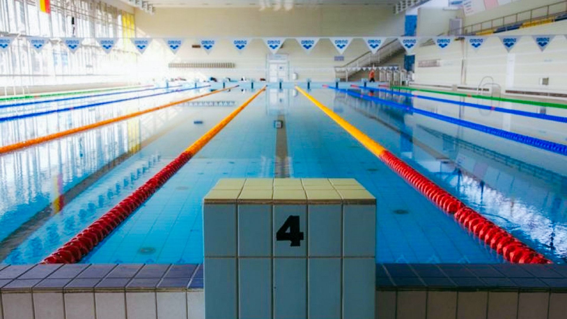 Blick auf ein Schwimmbecken mit mehreren Bahnen, umgeben von großen Fenstern und farbigen Begrenzungslinien.