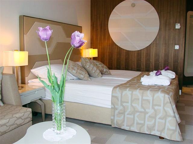Ein geschmackvoll eingerichtetes Zimmer mit einem Doppelbett, eleganter Einrichtung und Tulpendekoration.