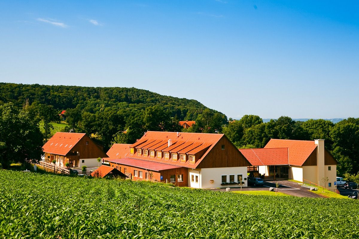 JUFA Tieschen Hotel, umgeben von grünen Feldern und bewaldeten Hügeln, mit traditioneller Architektur und roten Dächern.