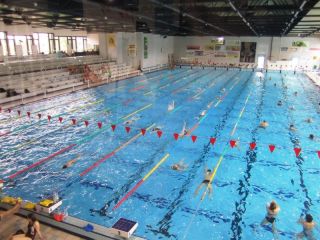 Trainingslager Schwimmen im A-Story Hotel in Pilsen (Tschechien)